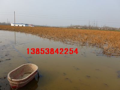 临汾蓄水池防水布%淮北鱼塘防渗膜￥绿化隔